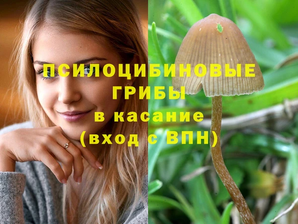 СК Горнозаводск