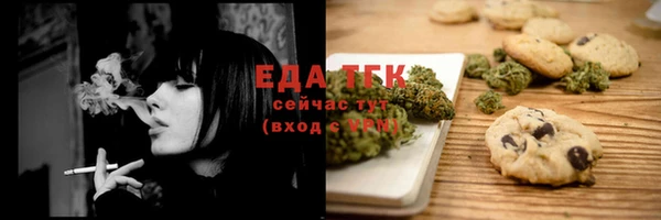 СК Горнозаводск