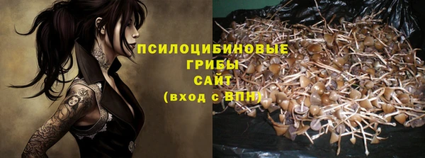 мет Горно-Алтайск