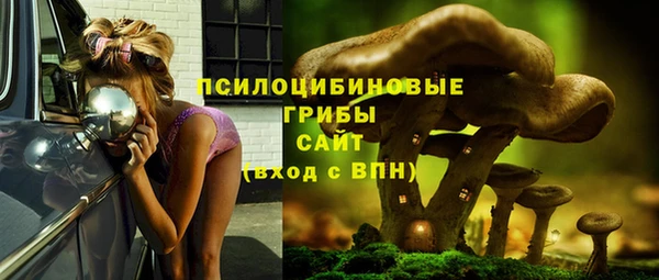 СК Горнозаводск