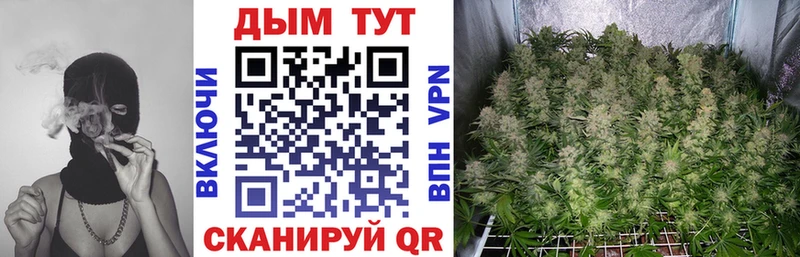 купить закладку  Железногорск  дарк нет формула  Канабис марихуана 